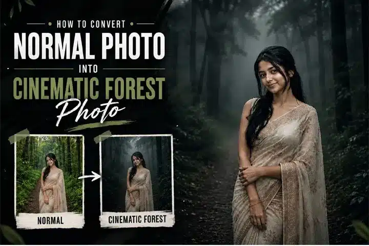 Cinematic Forest Photo