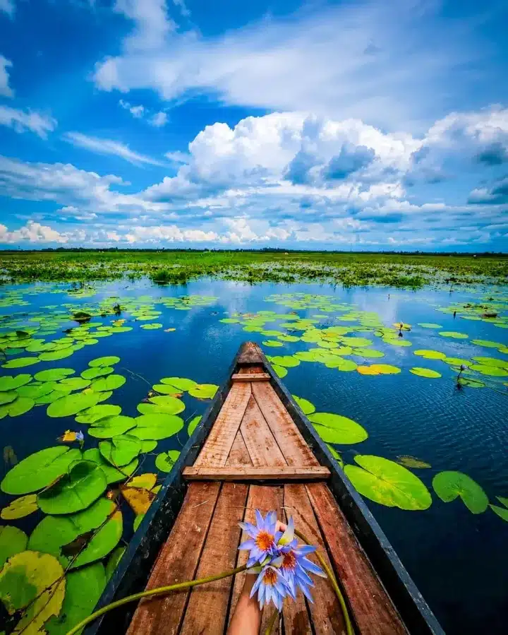 Lake Boat